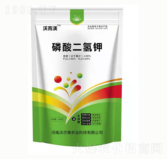 �������� �֠���