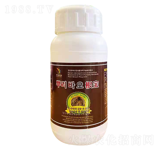 ���� ��ʿ������