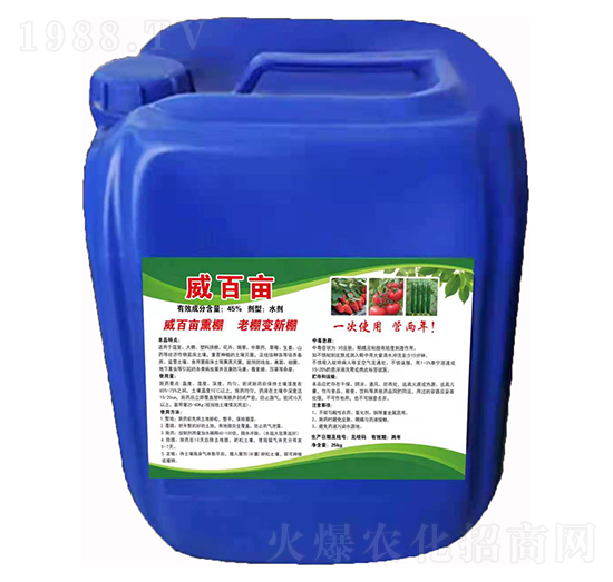 ���ٮ� �����S