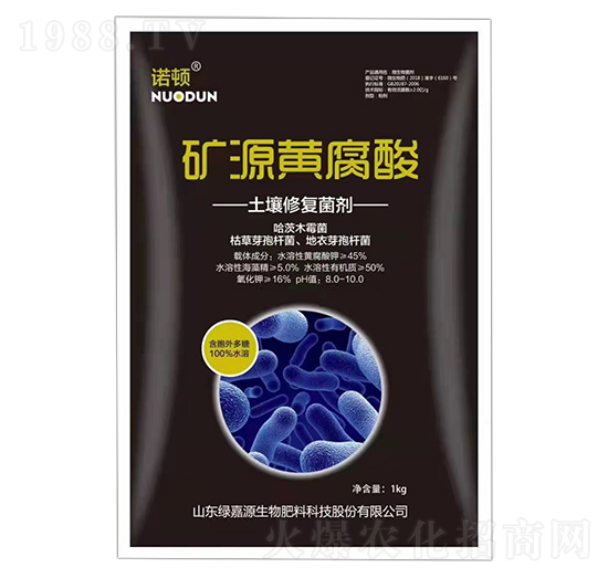 �����ޏ�(f��)���� �VԴ�S���� �G��Դ