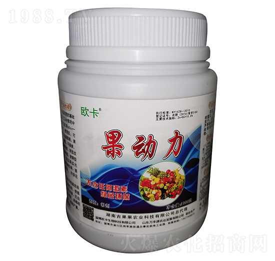 ������ �W��