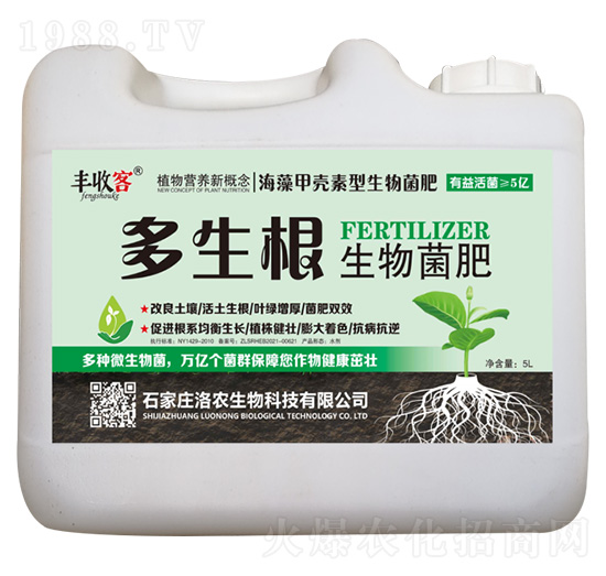 �������������-�S�տ�-���r����