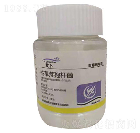 �ݲ�ѿ�ߗU�����~ù�����ã�-����-��ɭ�߿�