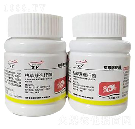 �ݲ�ѿ�ߗU������ù�������ã�-����-��ɭ�߿�