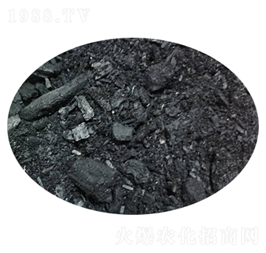 �����|(zh��)̿-���۝���