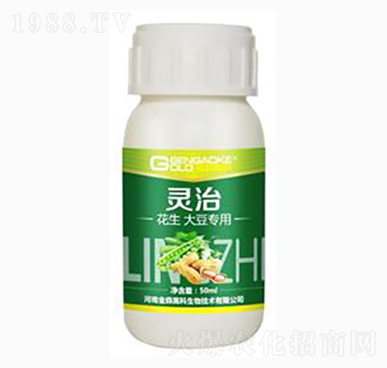 �����󶹌����͏�(f��)��΢�������-�`��-��ɭ�߿�