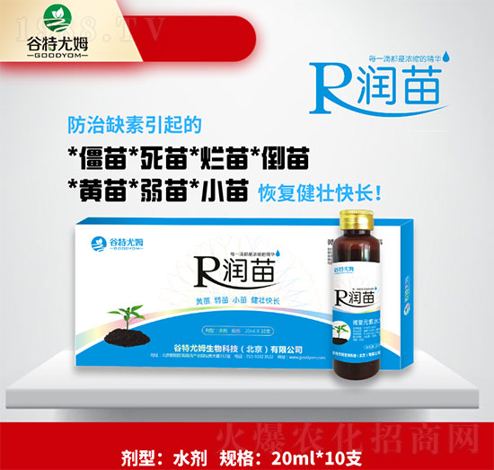 ����-�S�硢������С�罡�ѿ��L-������ķ