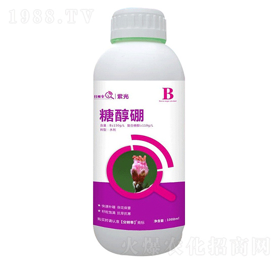 �Ǵ��� �Ϲ� �ֱ�������