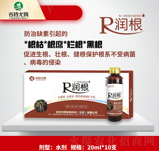 ����-�����������������A(y��)����ϵ�����ɿ�-������ķ