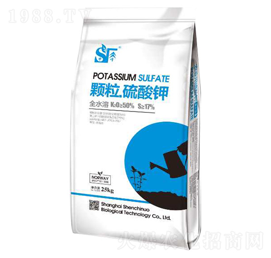 �w��������� ���Y�Z