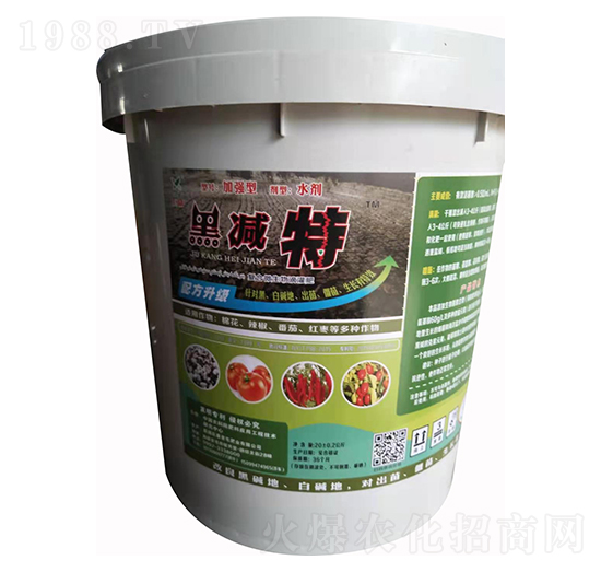 �ڜp�� �޿�����