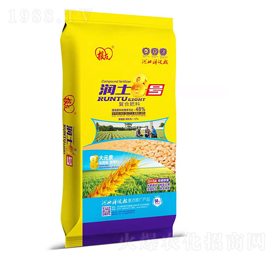 �ͺϷ��� ����8̖ �����