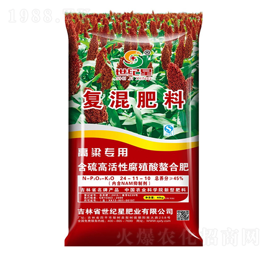 �������Ï�(f��)�����24-11-10-���o(j��)��