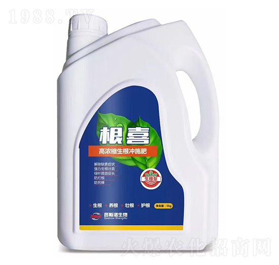 �ߝ�s�����_ʩ��-��ϲ-��˹�Z