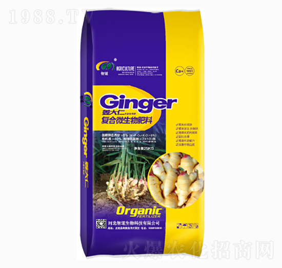 �ͺ�΢�������-������-�ǵ�