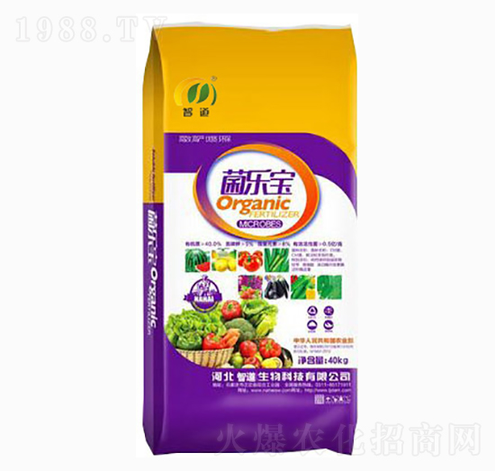 ������-�ǵ�