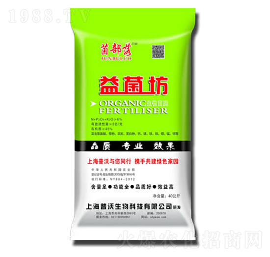 �����-��������