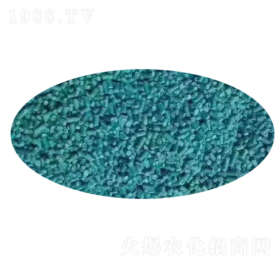 �ľ���ȩ-�W����