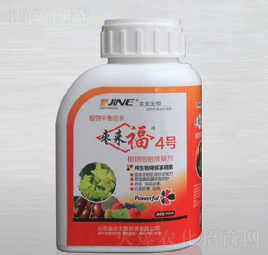 ֲ�：���ޏ�(f��)��-������4̖-��I(y��)����