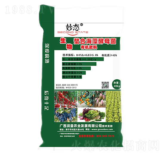 �����ЙC(j��)��-��B(t��i)-��(r��n)���r(n��ng)�I(y��)