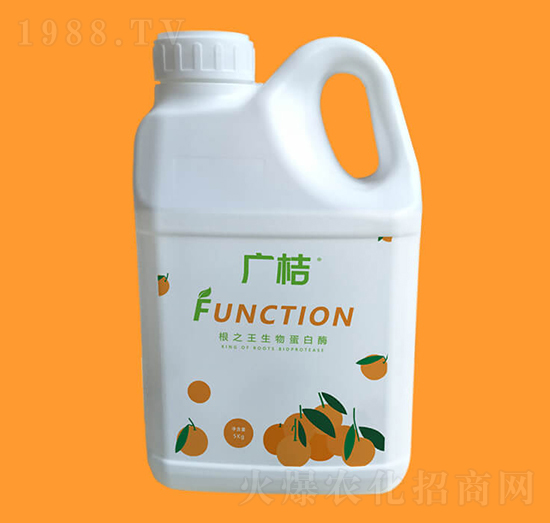 ���ﵰ��ø-�V��-�G���r