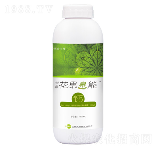 ��������Ȫ���}-�������