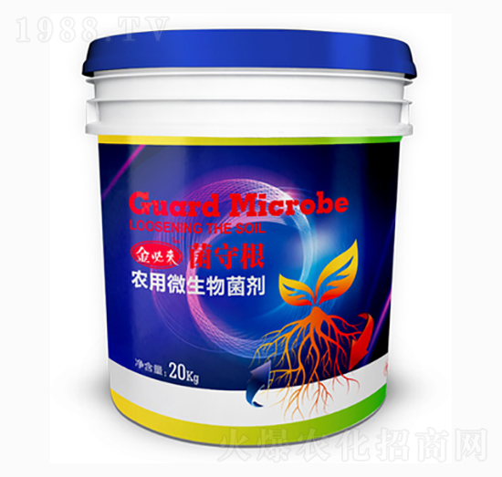 �r��΢�������-���ظ�-��؁�