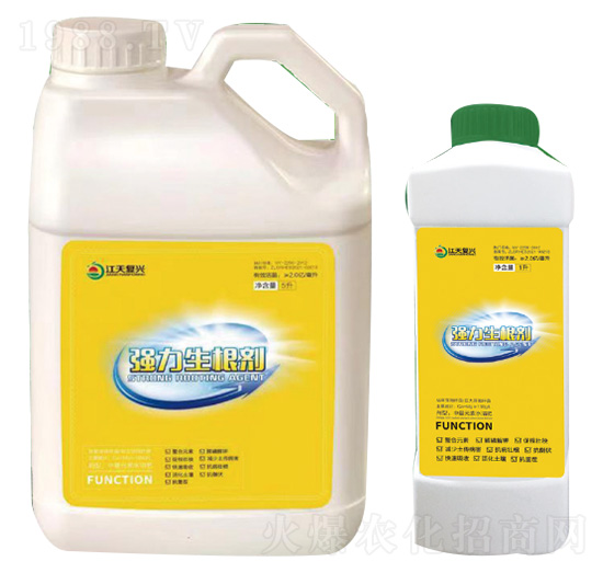 ����������-��������