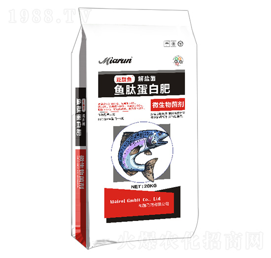 ΢�������-�~(y��)�ĵ��׷�-�|��ʢ̩