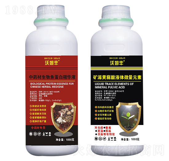 ��ˎ��������ײ�-��ķ�S-�Wؐ˹