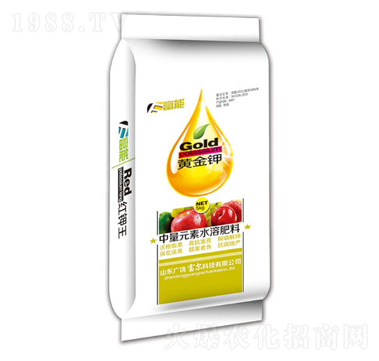 �S���-����-�����Ƽ�