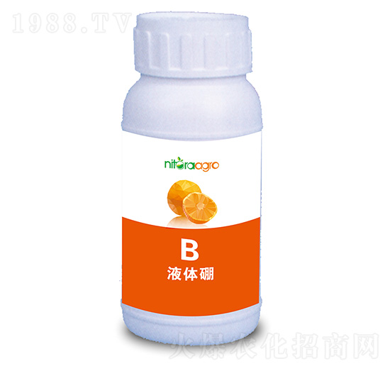 Һ�w��-���_(d��)�_