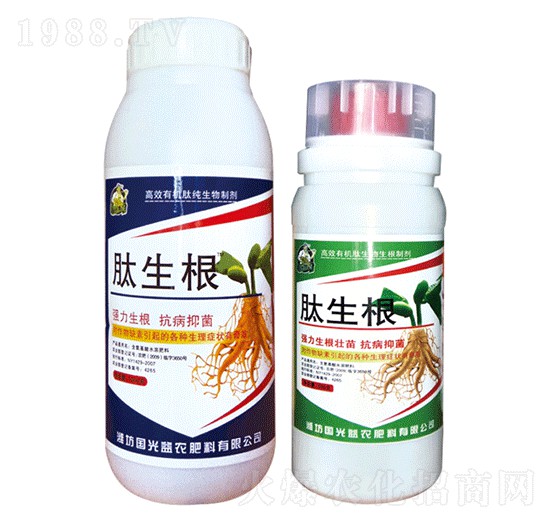 ������-�������r(n��ng)