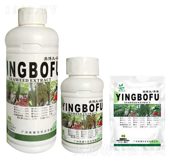 �����ʹ���Ԫ��ˮ�ܷ��� Ӣ����