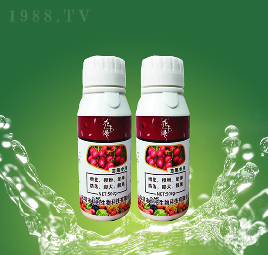 �ѹ�����-��ͮ����