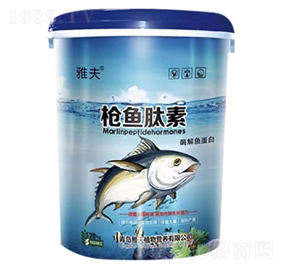 ø���~����-���~����-�ŷ�