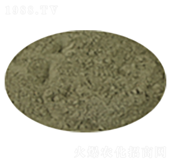 ����ľù�ۄ�-��������