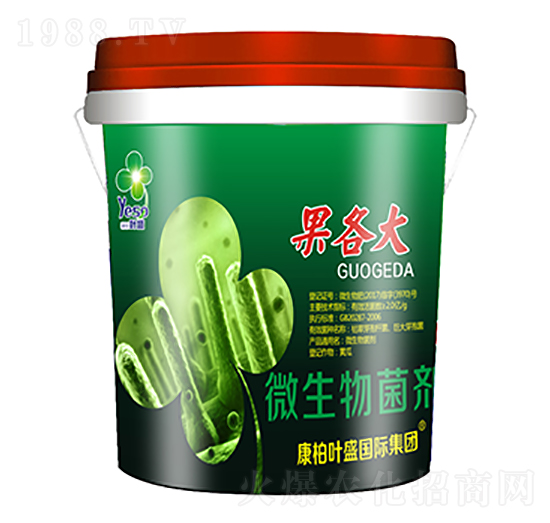 ΢�������-������-�~ʢ����