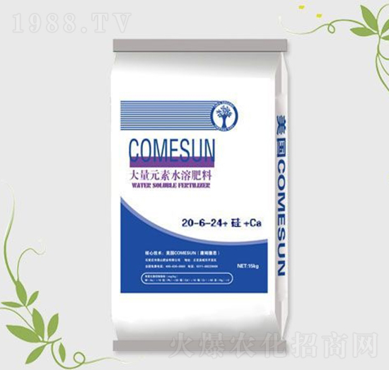 ����Ԫ��ˮ�ܷ�20-6-24+��+Ca-����ʘI(y��)