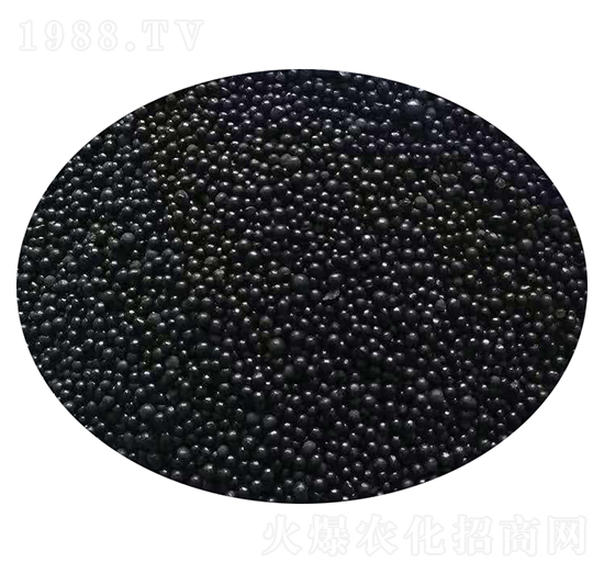 �ЙC�o�C�ͻ���w��-�W������