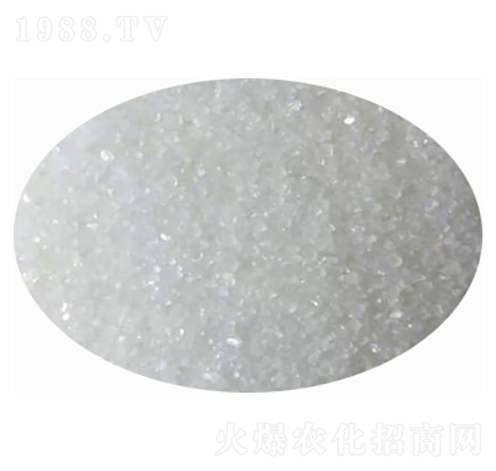 ����(n��i)�����������@-���̷ʘI(y��)