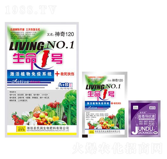 ����1̖A+B-ʥ�ϝ�