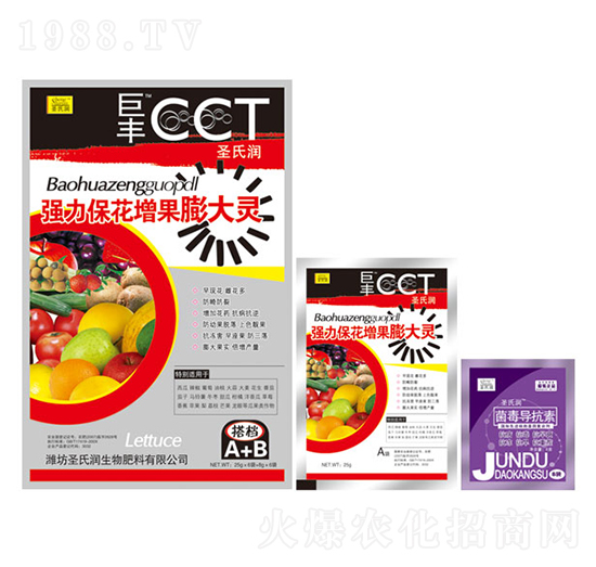 ��(qi��ng)��������������`-���S-ʥ�ϝ�