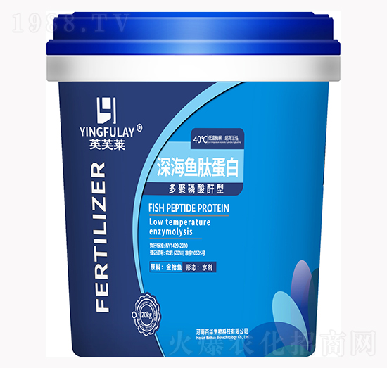 ��~(y��)�ĵ���-Ӣܽ�R-���A����