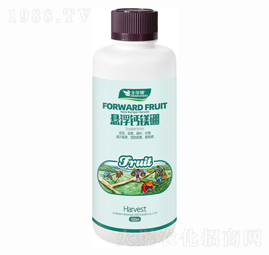 �Ҹ��}�V��-�S�A��-�S�A�ʘI(y��)