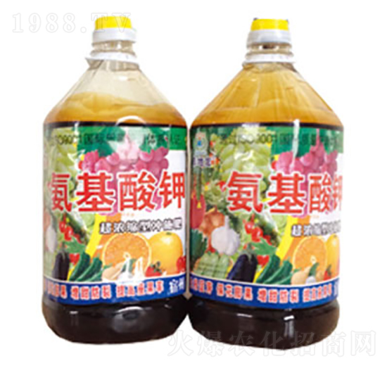 �������-�|���t