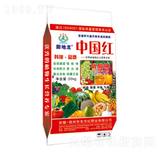 �����-�����-�|���t