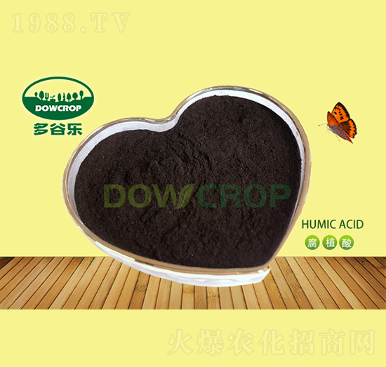 ��ֲ��ԭ��-��Ș�(l��)