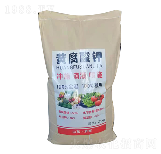 �S�����-ϲ������