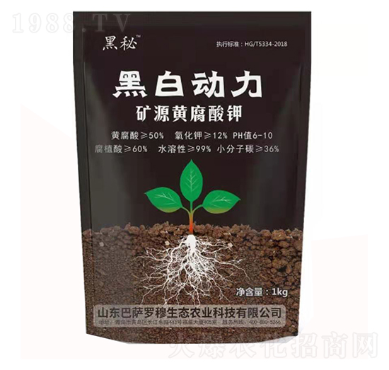 �VԴ�S�����-�ڰׄ���-���_�_��